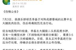 重要球员的伤情将对球队造成影响